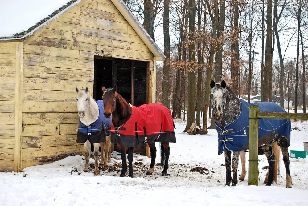 Raise the Bar for Your Equine Laundry