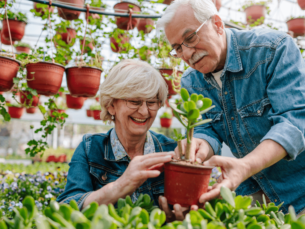 Seniors & Empty Nesters