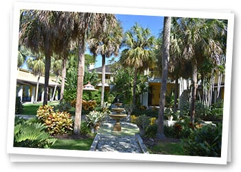 Take a Walk In Fort Lauderdale