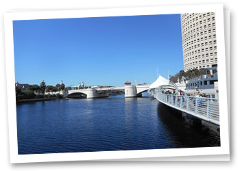 Tampa Outdoors